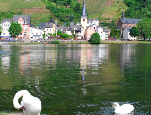 Ruhe an der Mosel – warum Entschleunigung hier ganz natürlich ist