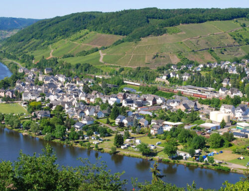 Urlaub mit Haustier an der Mosel – entspannt reisen mit Hund