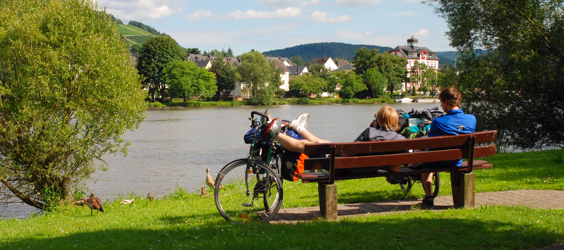 Radfahrer auf dem Moselradweg in der Nähe des Hotels, umgeben von Weinbergen und Flusslandschaft