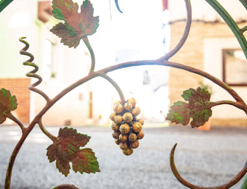 Die schönsten Moselwanderwege im Herbst