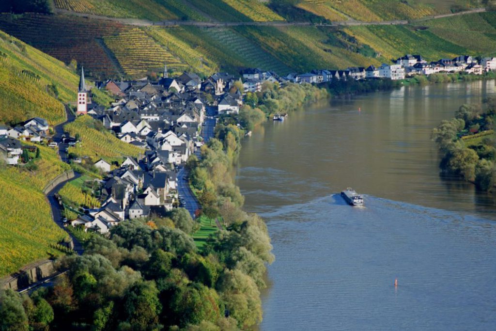 zell