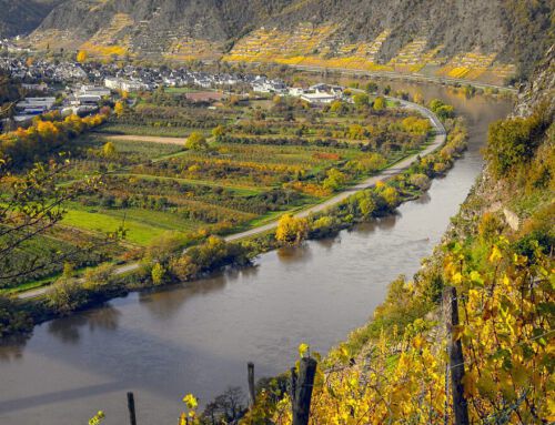 Herbsturlaub an der Mosel